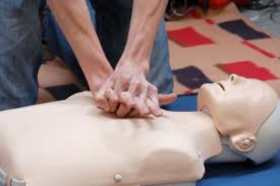 CPR Dummy